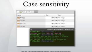 Case Sensitivity