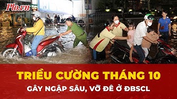 Triều cường gây ngập, vỡ đê nhiều nơi ở ĐBSCL | Tin tức