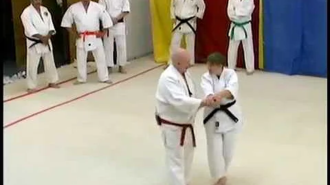 Aikido Randori - Karl Geis and Heather Gawlick