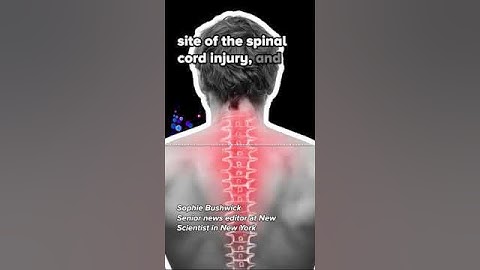 Zapping Nerves Into Regrowth