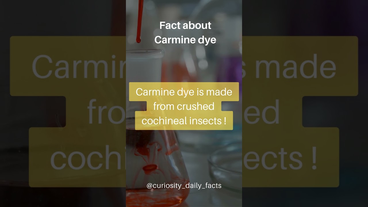 This Red Color Comes From Insects 😳 | Food Fact 