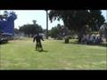 DOG TRAINING-PROTECTION TRAINING 'CALL OFF' DOG TRAINING-PROTECTION TRAINING 'CALL OFF'