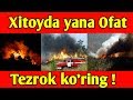 Xitoyda yana Ofat