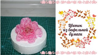 Цветок из вафельной бумаги. Просто и эффектно!