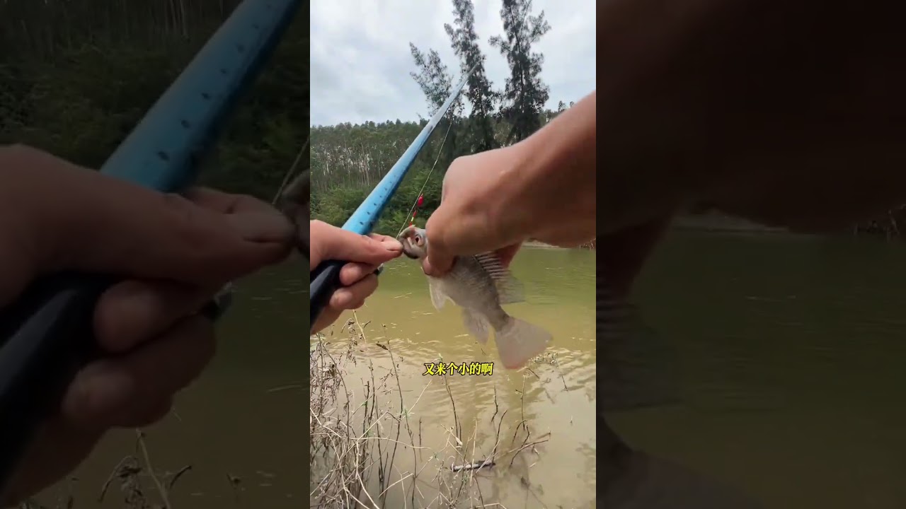 🌿 Countryside Fishing Challenge Can I Catch Fish With Homemade Bait 🎣