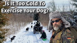 Is It Too Cold To Exercise Your Dog? Join Us For A Training Session And Judge For Yourself by Stonnie Dennis 36,110 views 2 months ago 14 minutes, 5 seconds