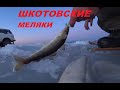 Шкотовские меляки утрянка