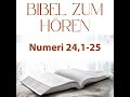 Bileams Prophezeiung über Den Messias Shorts Bibel Gott