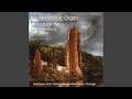 Symphony No 40 In G Minor K 550 I Molto Allegro 