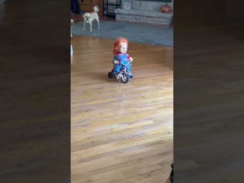 Chucky riding freely on a tricycle...NOPE!