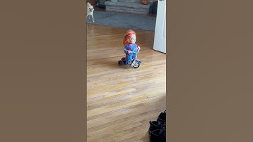 Thumbnail of Chucky riding freely on a tricycle...NOPE!