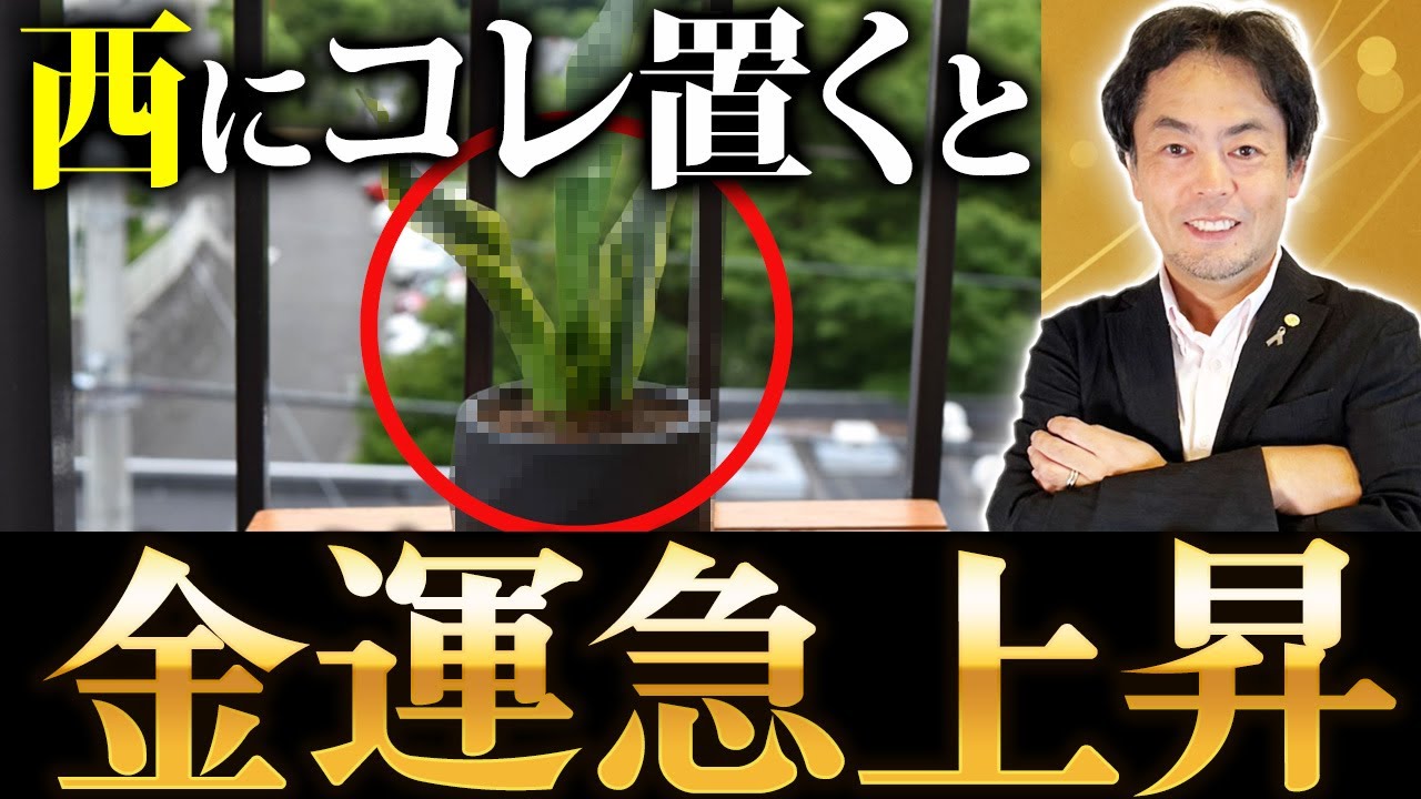 【今すぐ確認】方角によって変わる運気アップの植物