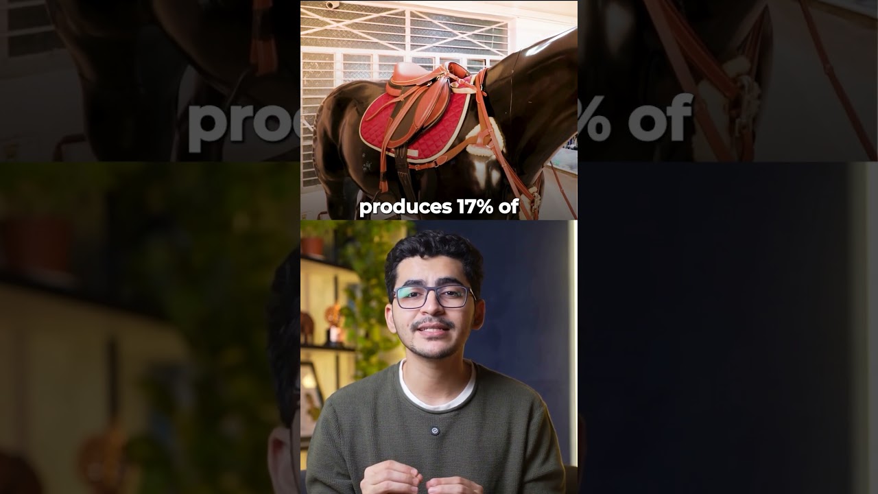 Why Kanpur is Called India’s Leather Capital ?