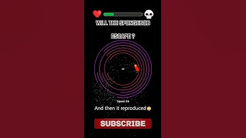 What if the SPONGEBOB Escapes? #bouncy #bouncyball #bounce #asmr #adhd