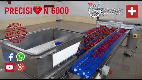 NEW STRAWBERRY CALYX MACHINE  INGESWIS.CL
