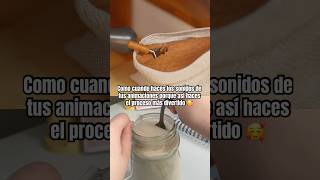 Cómo hice los sonidos para mi animación | Maritdoodles #3d #animation #asmr #fyp #foley #foleyartist