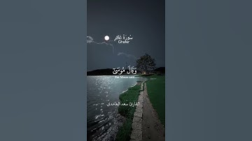 سورة غافر اية 26  و 27 بصوت القارئ سعد الغامدي #quran #explore #قرآن