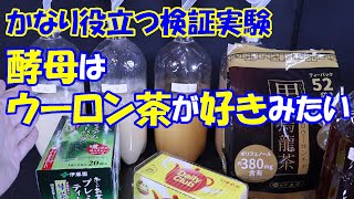 【酵母起こし】【液肥】かなり役立つ検証実験「 酵母はウーロン茶が好きみたい」 【パン作り】【液肥作り】