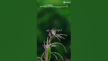 #اكسبلور"آمن الرسول بما أنزل إليه" "تلاوة تبهر سامعين"ياسرالدوسري.  فضلا،،تابع القنات"وشارك التلاوة،
