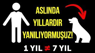 1 Köpek Yılı 7 İnsan Yılına Eşit Değildir ve 14 Efsane Hakkındaki Gerçekler