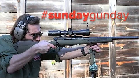 #Sunday Gunday: Savage Impulse Hog Hunter