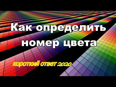 Видео: Как да разберете номера на цвета