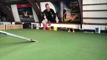 》Lyric《 вecoмιɴɢ α тeαм