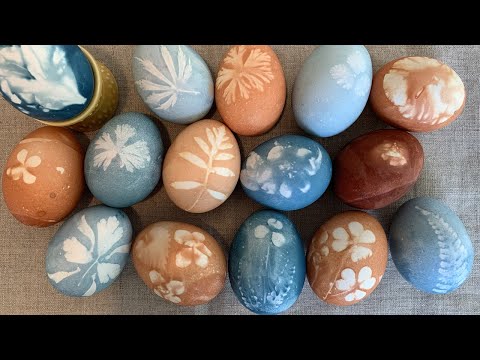 วีดีโอ: การนำไข่อีสเตอร์พลาสติกกลับมาใช้ใหม่ – Upcycle Easter Eggs In The Garden