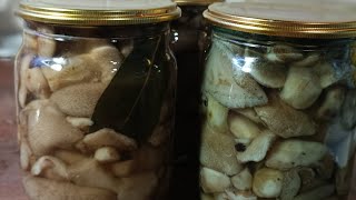 видео: Мариновані гриби...маслята картинка: Мариновані гриби...маслята