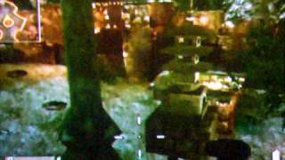 Call Of Duty World At War- Makin Tree Climber Glitch