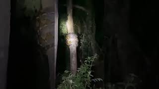 Campo Ramón Misiones Argentina