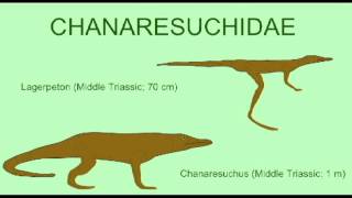 PL2_ARCHOSAUR2
