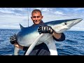 Shark Fishing - Sea Fishing UK - HUGE SHARKS