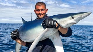 Shark Fishing - Sea Fishing UK - HUGE SHARKS | The Fish Locker