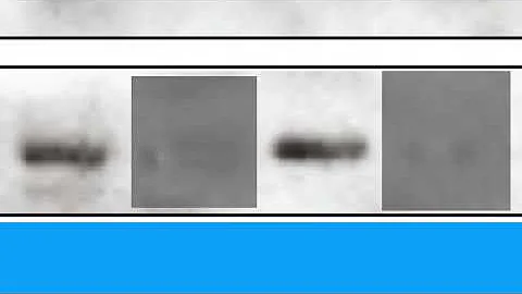 9581361E609F572986A6F84D333441#2