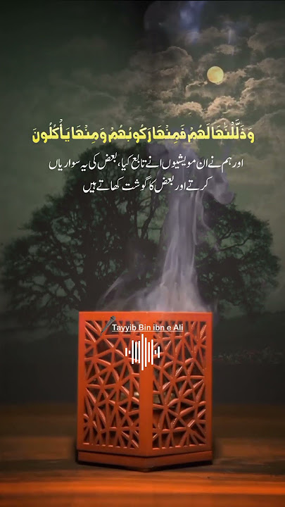 Surah Yaseen 71-73 #surahyaseen #dailyquran #learnquran #مقامات #maqamat #hijaz #recitation