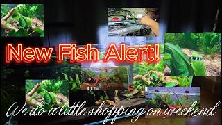 New Fish Alert