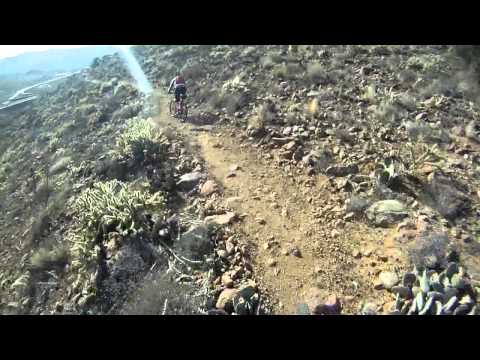 Badger Trail Downhill