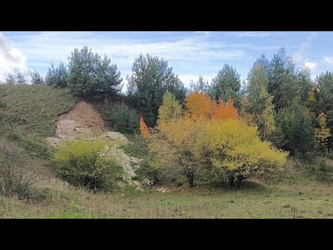 приємного спілкування друзі