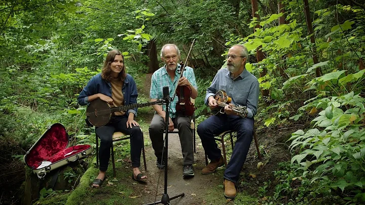 Bruce Molsky, Allison de Groot & John Reischman - ...