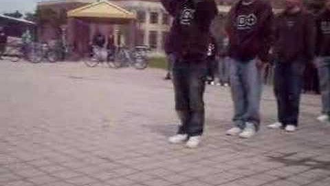 Lambda Theta Phi at the CUS & Lambdas yardshow UCF