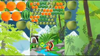 fruits 🍇🍅bubbles shooter adventure [*odia Ankara funniest* ]online gameplay screenshot 4
