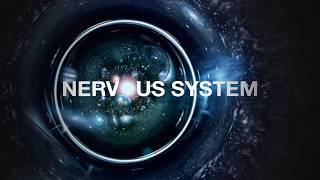 Brave The Storm & 18 Hands - Nervous System [Official Video]