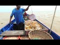 Fish and Shrimp Fishing in the Atlantic