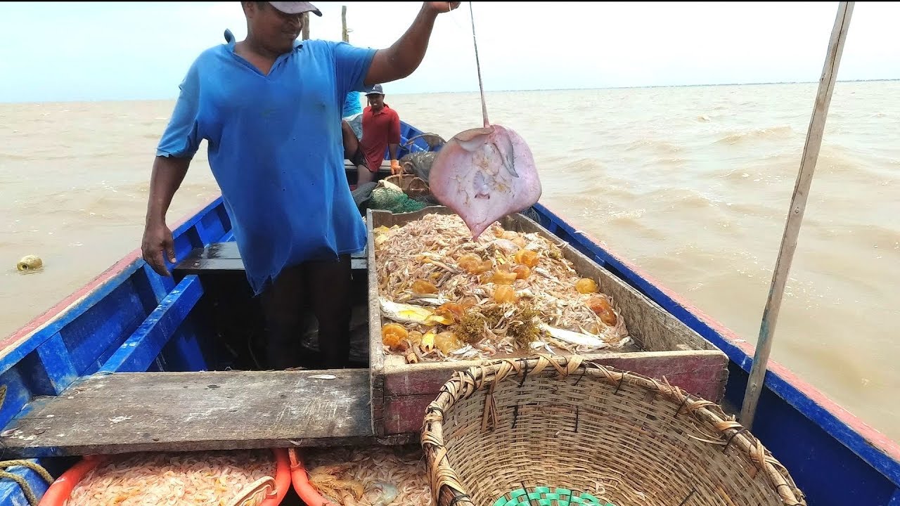Fish and Shrimp Fishing in the Atlantic