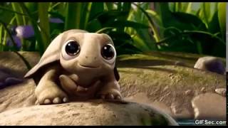 Turtle walking
