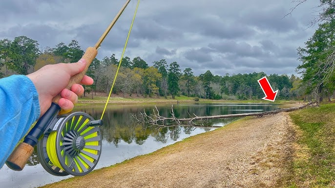 Would you guys do this? #shorts #bassfishing 