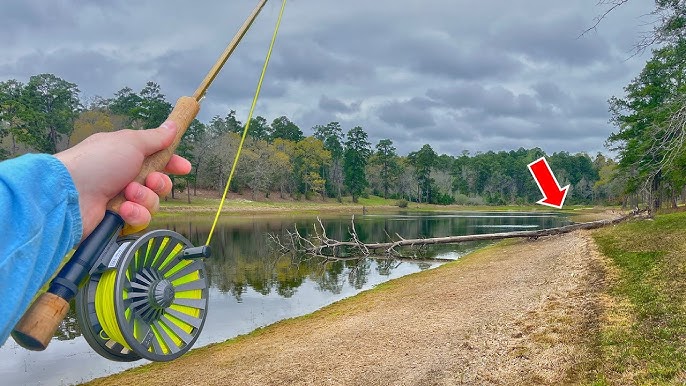 Fly Fishing Basics  How to Get Started ! 
