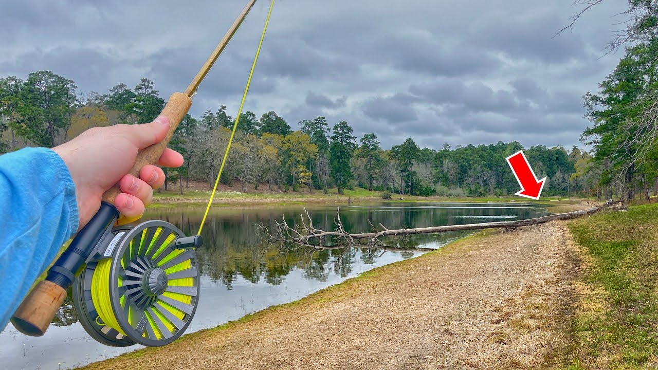 Bed Fishing with a FLY ROD… I’m 100% Trying this Again