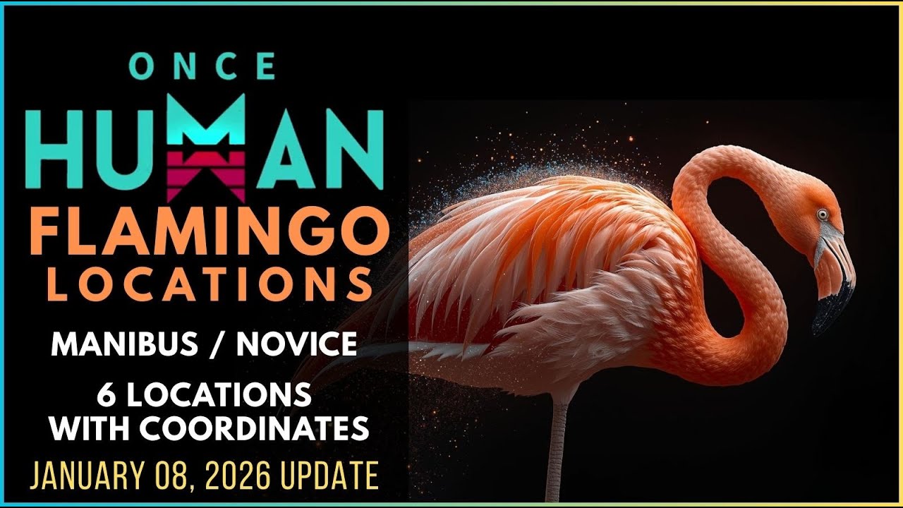 Flamingo Location in Once Human (Latest)